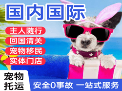 海西德令哈空运地址国际宠物托运 【国